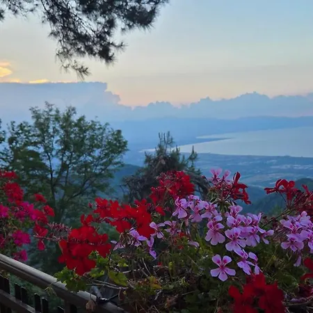 Bed & Breakfast Il Villino Dei 4 Castagni 3*